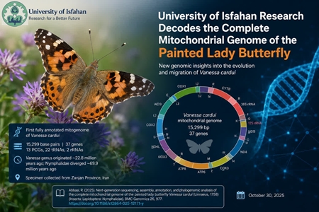 University of Isfahan Research Decodes the Complete Mitochondrial Genome of the Painted Lady Butterfly