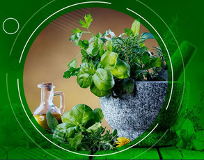 مرکز پژوهشی فرآورده های طبیعی و زیستی دارویی 