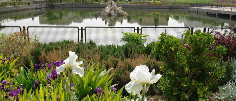 [query-result:title]